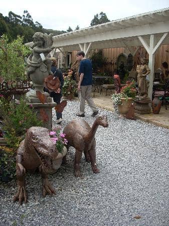 Quirky Yard Decor