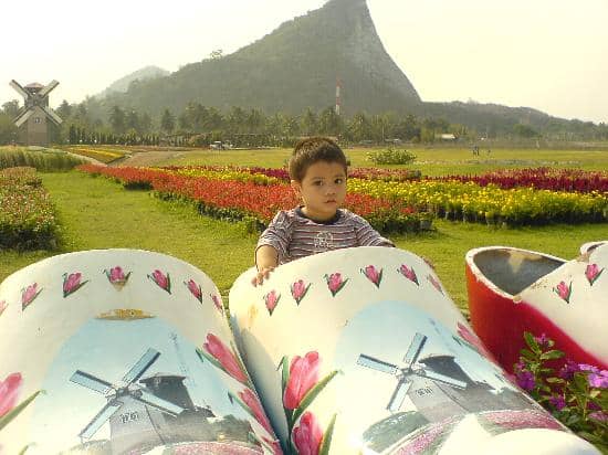 Charming Architecture