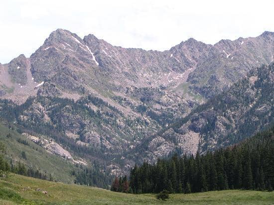 Iconic Wedding Backdrop
