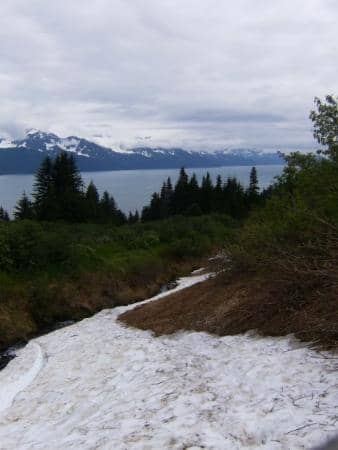 The Race Trail