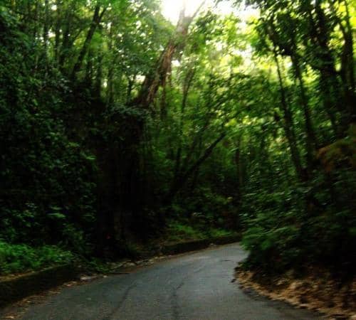 Roadside Vendor Stalls