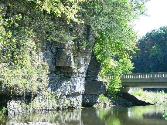River Trail Exploration