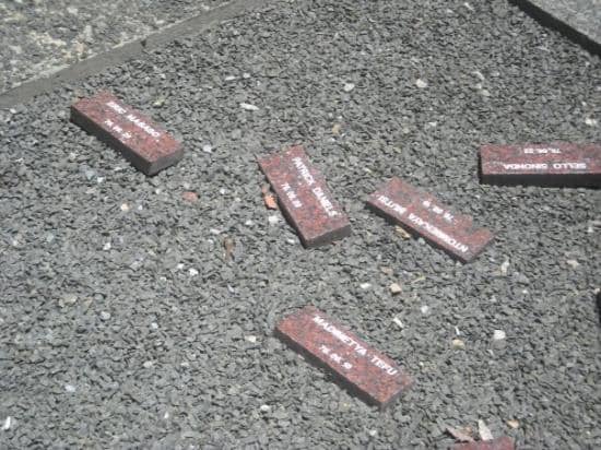 The 1976 Uprising Exhibits