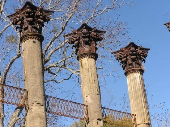 Towering Corinthian Columns