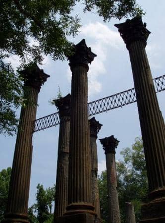 Photographic Opportunities