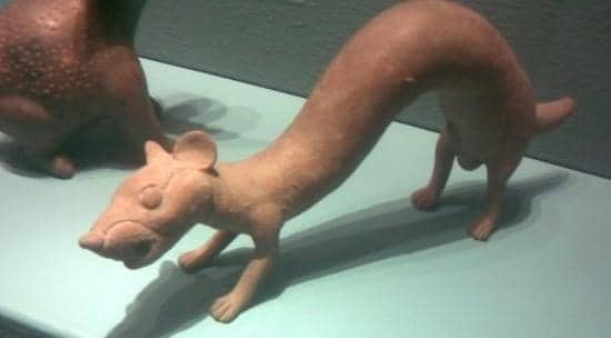 José Agustín Arrieta Exhibition