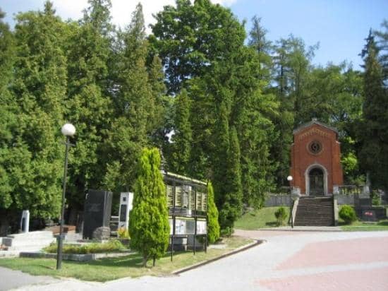 Sculptural Masterpieces