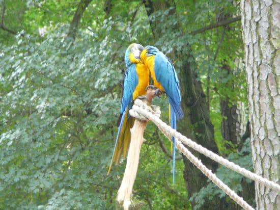 Spacious Playgrounds