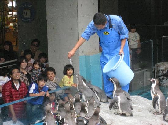 Moray Eel & Local Marine Life