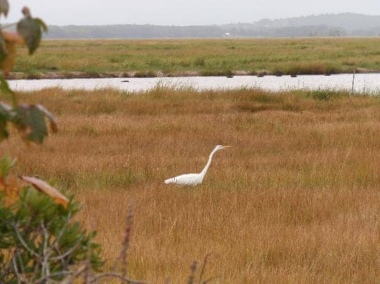 Walking Trails & Boardwalks