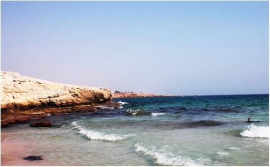 Beachfront Dining & Drinks