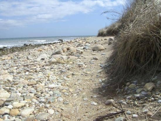 Shadmoor State Park Trails