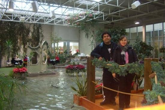 Tranquil Ponds & Fish