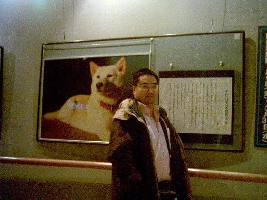 Observation Deck Views