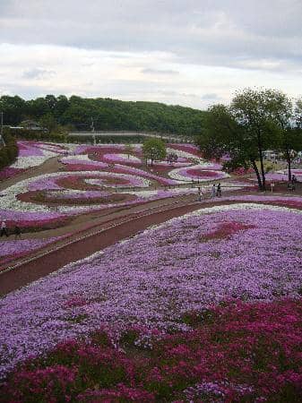 Scenic Hillside Views