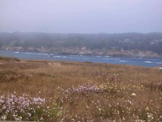 Russian Gulch State Park