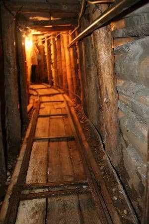 Gift Shop & Local Support