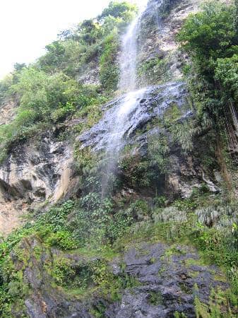 Natural Pools