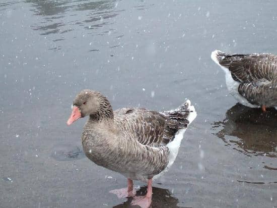 Crystal-Clear Emerald Waters