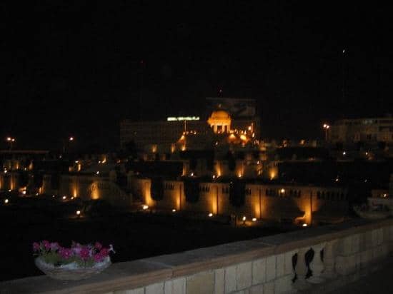 Dinosaur Murals & Turtle Pond