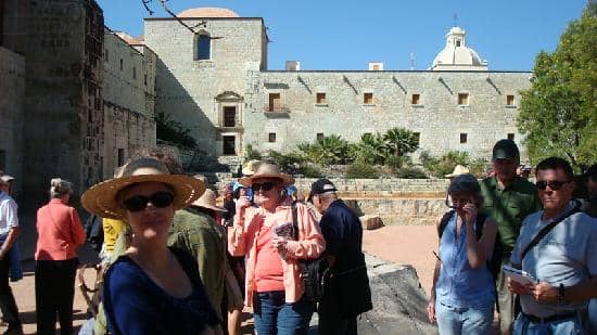 Oaxacan Flora Showcase