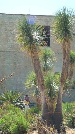 The Plazuela del Aljibe