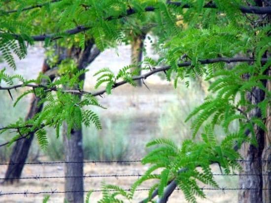 Casita del Príncipe