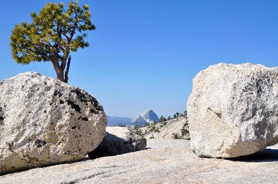 Lembert Dome Hike