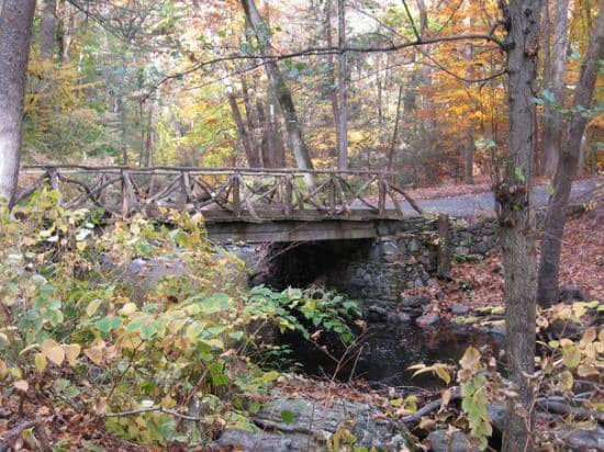 Sleepy Hollow Cemetery