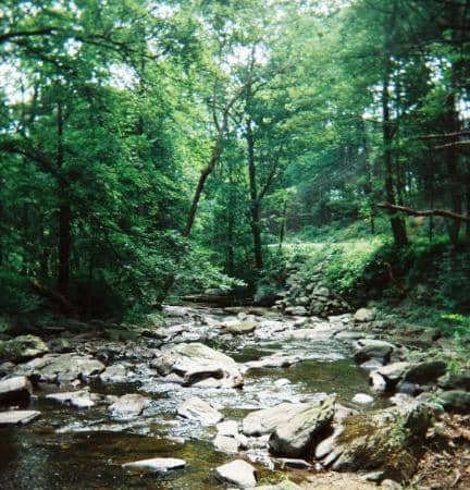 Charcoal Trail