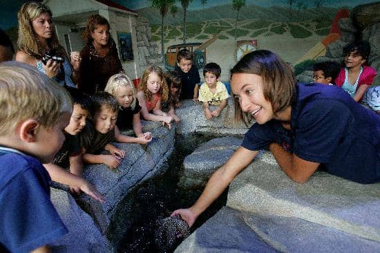 Interactive Touch Pools