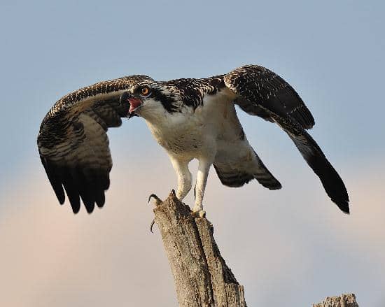 Environmental Center