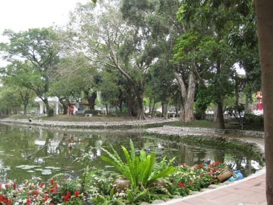 The Serene Lake