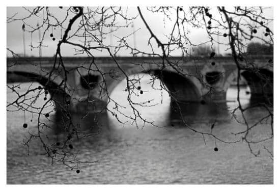 Little Venice of Toulouse