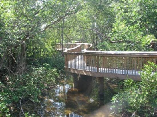 Sea Turtle Rehabilitation