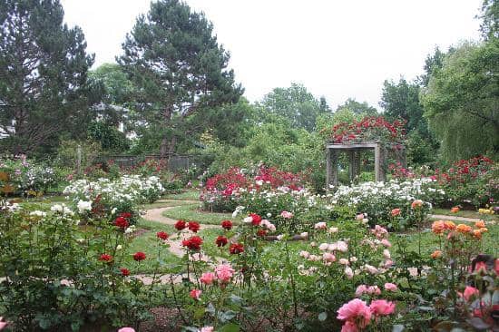 Victorian Garden