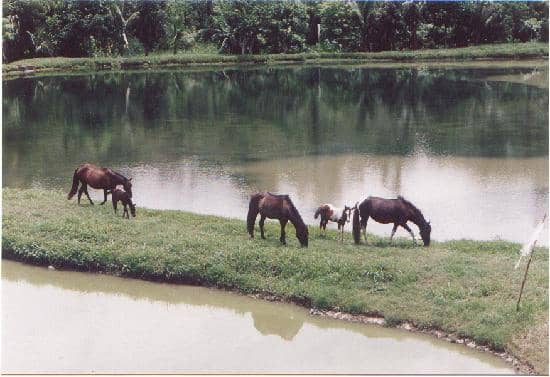 Sustainable Agriculture Tour