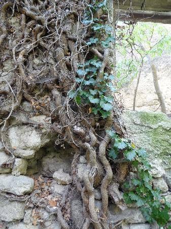 Historical Hiking Trails