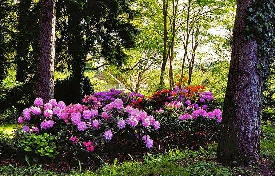 Tranquil Riverside Setting