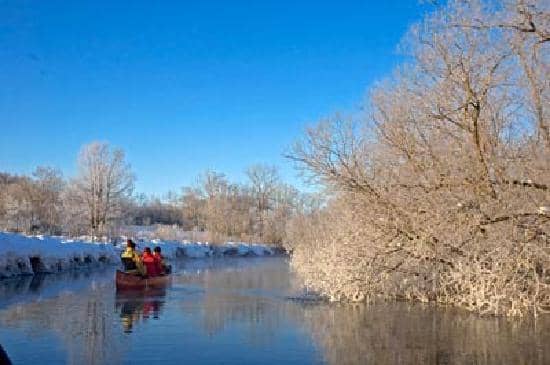 Wildlife Spotting Tours