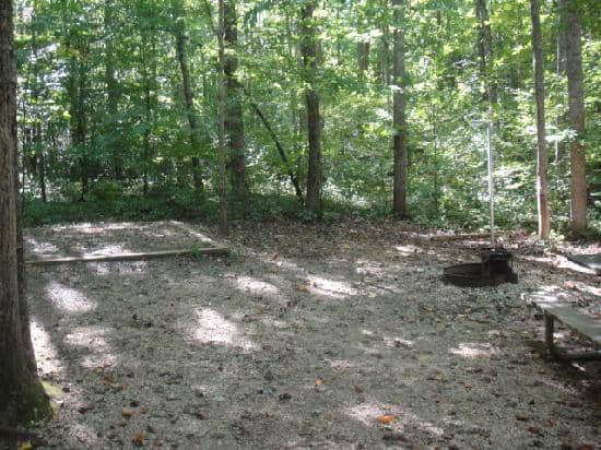 Dark Sky Viewing Area