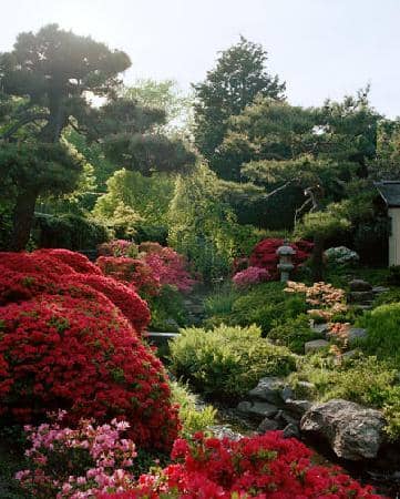 Tranquil Gardens