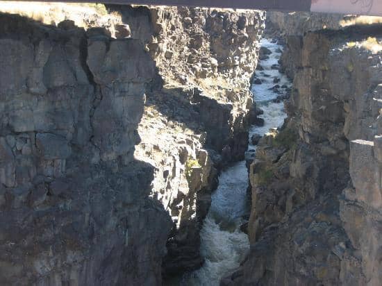Vertical photo