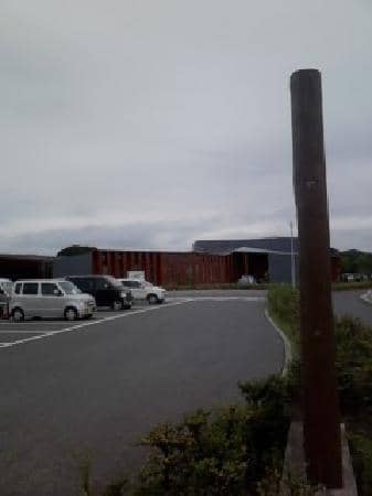 Loquat Leaf Tie-Dye Workshop