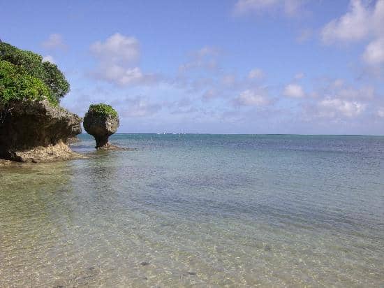 Vibrant Reefs