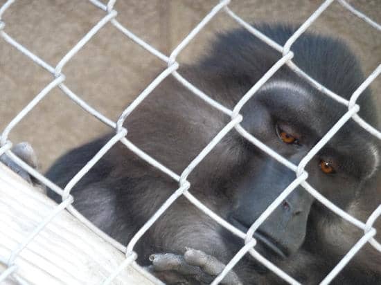 Reptile & Exotics Facility