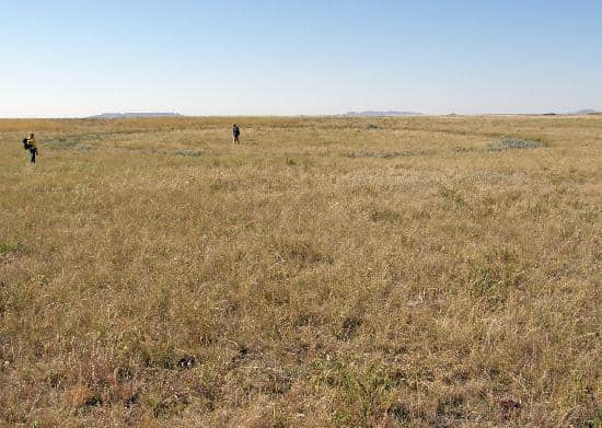 Abundant Wildlife Sightings