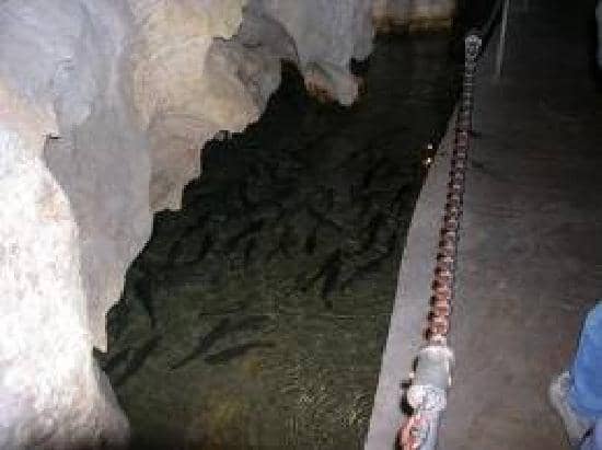 A Glimpse of True Darkness