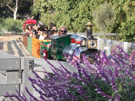 Mini-Train Ride