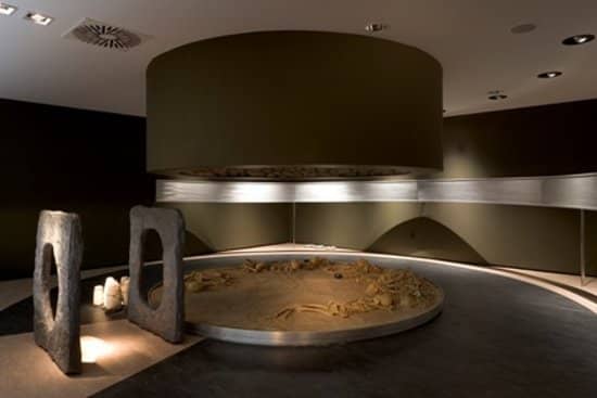 Visual Soil Strata Exhibit